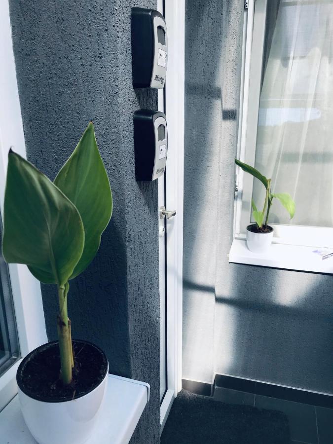 Nairo Harmony Residence Брашов Екстериор снимка